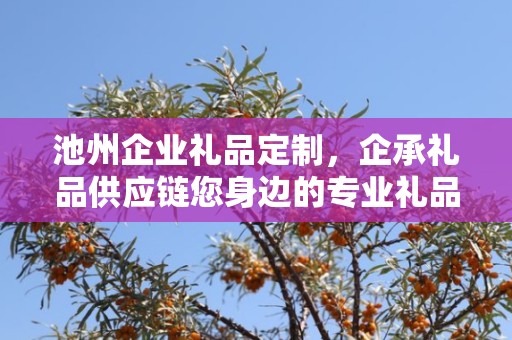 池州企业礼品定制，企承礼品供应链您身边的专业礼品定制公司