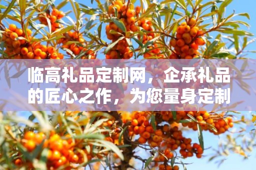 临高礼品定制网，企承礼品的匠心之作，为您量身定制专属礼品
