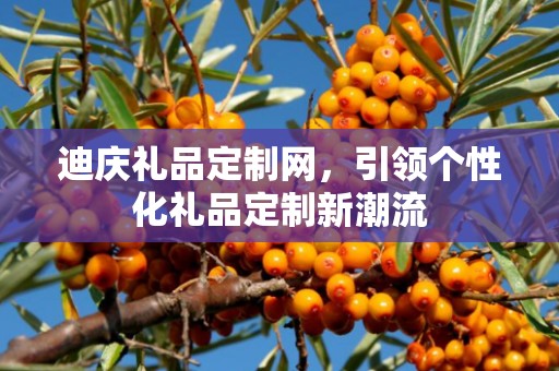 迪庆礼品定制网，引领个性化礼品定制新潮流